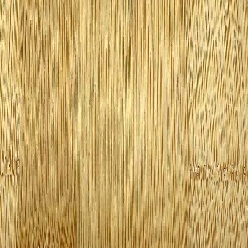 Bamboo