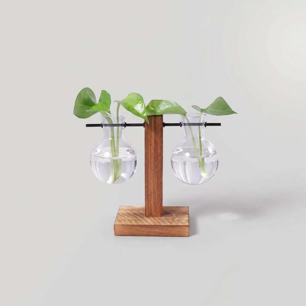 Desktop Wood Propagation Station 2