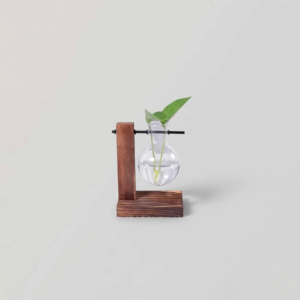 Desktop Wood Propagation Station 3