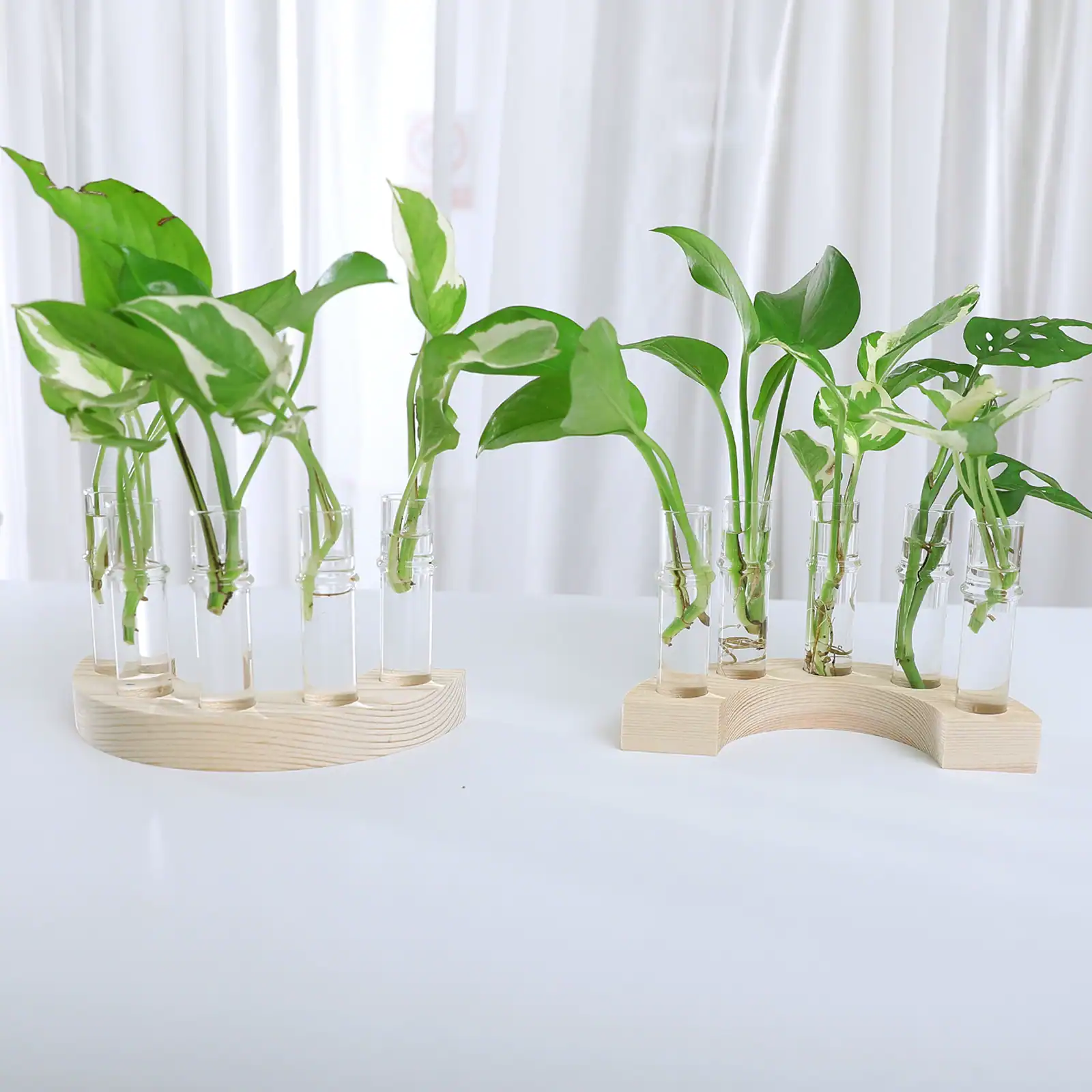 Custom Solid Wood Test Tube Vase for Hydroponic Plants & Floral Decor 6