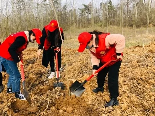 Hilon Wood team participating in annual tree planting initiative in Shandong
